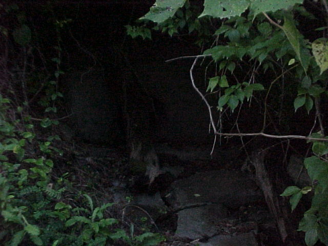 Drain by the Trail