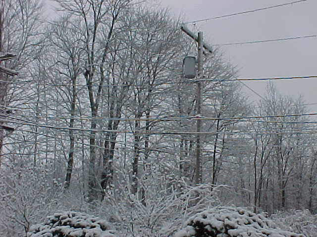 Snow on the Powerlines